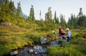 Photo of children crossing a small stream in the forest